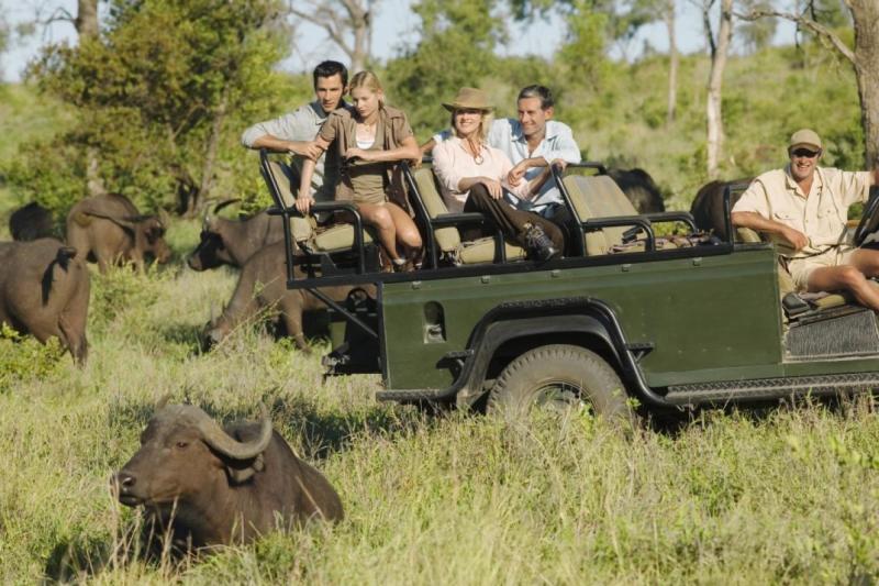 Kruger Safari