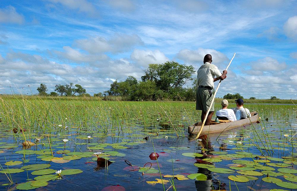 okavango delta botswana