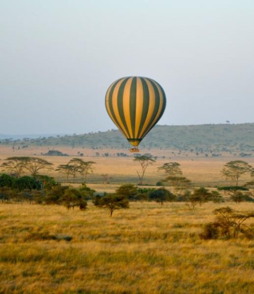 Masai Mara & Serengeti Safari | 7 Days | Safari Guide Africa