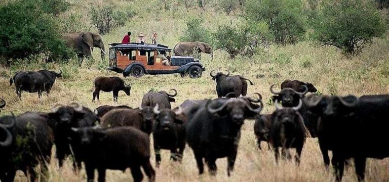 cottars safari kenya
