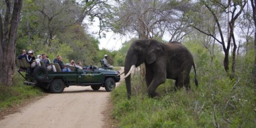 Kapama Karula | Kapama Safari Lodges | Safari Guide Africa