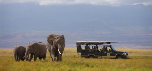 Tortilis Camp | Amboseli Safari Lodges | Safari Guide Africa