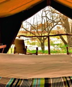 Moremi Game Reserve Safari Lodges