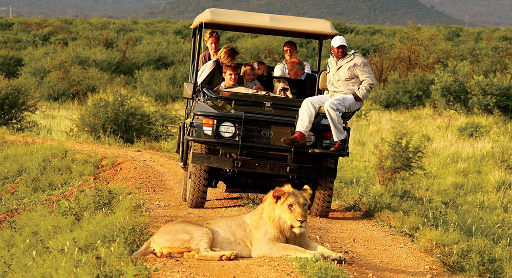 Madikwe Hills - Safari