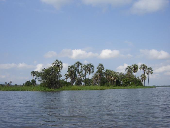 Liwonde River