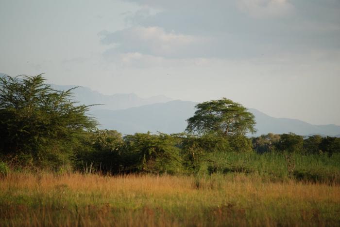 Liwonde National Park Malawi