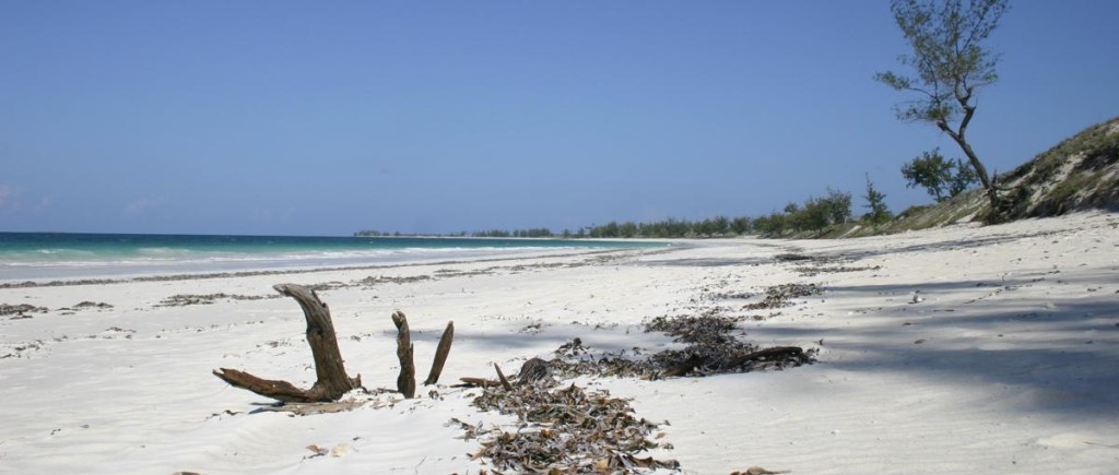 beach mozambique