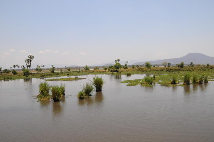 liwonde river flood plains