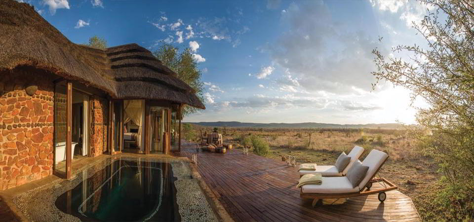 Top 15 Plunge Pools for Safari Lovers