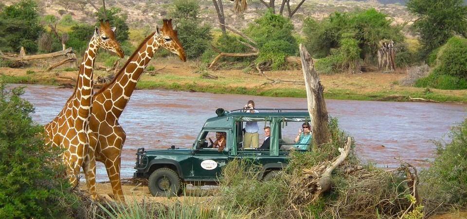 Samburu Intrepids Safari