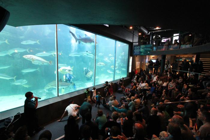 Two Oceans Aquarium - Cape Town, South Africa