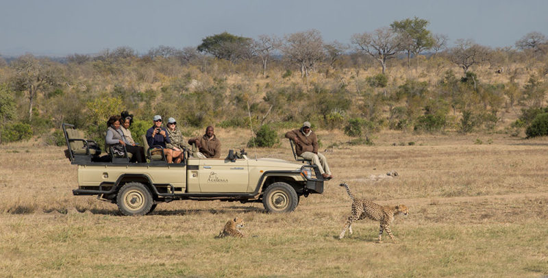 Arathusa Safari Lodge | Sabi Sand Safari Lodges | Safari Guide Africa