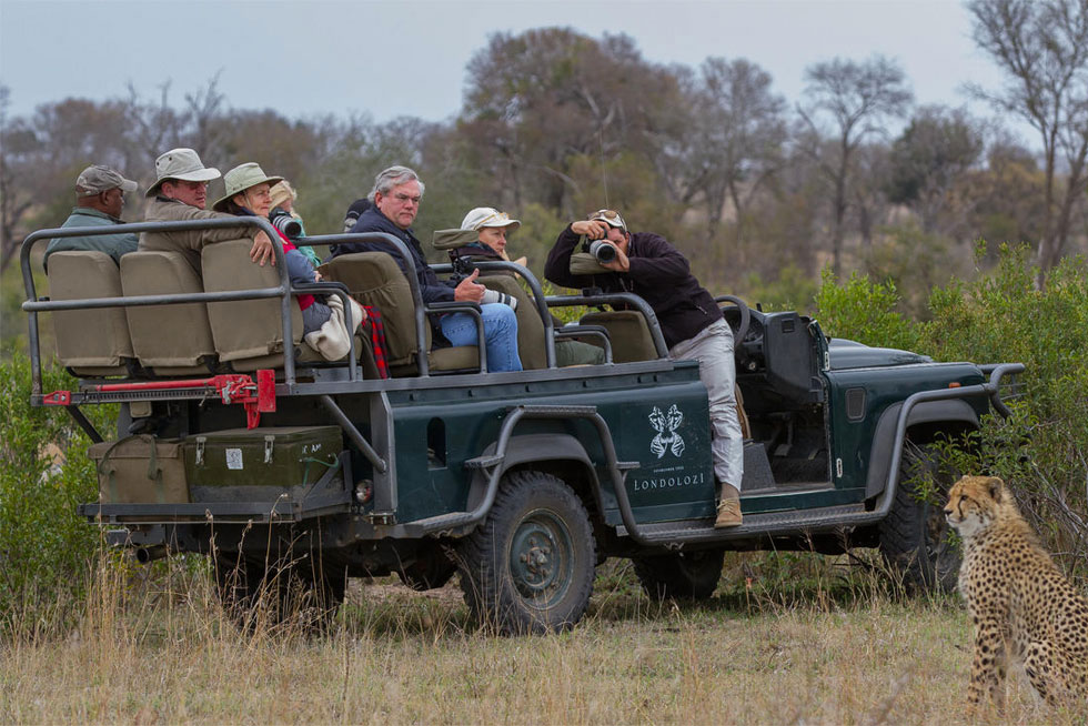 Londolozi Safari
