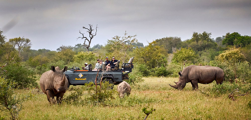 Motswari Safari