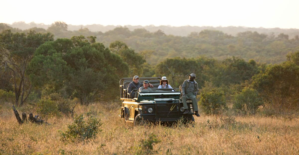 Royal Malawane Vehicle Safari