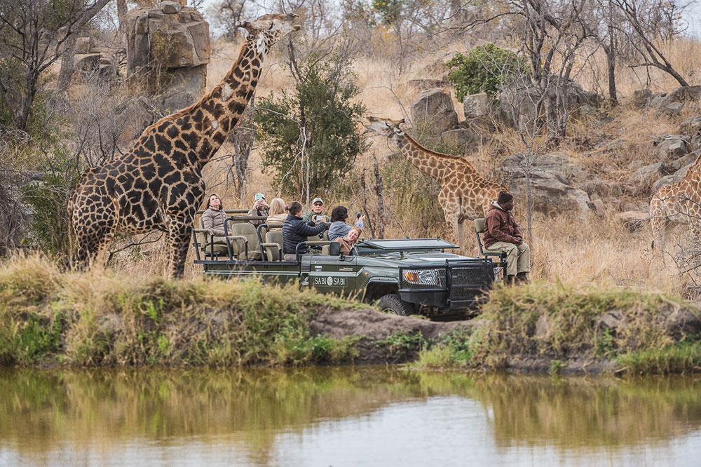 Sabi Sabi Earth Lodge Giraffe Safari
