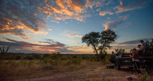 Sabi Sabi Earth Lodge | Sabi Sabi Safari Lodges | Safari Guide Africa