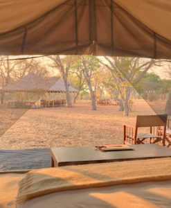 Chobe Safari Tent