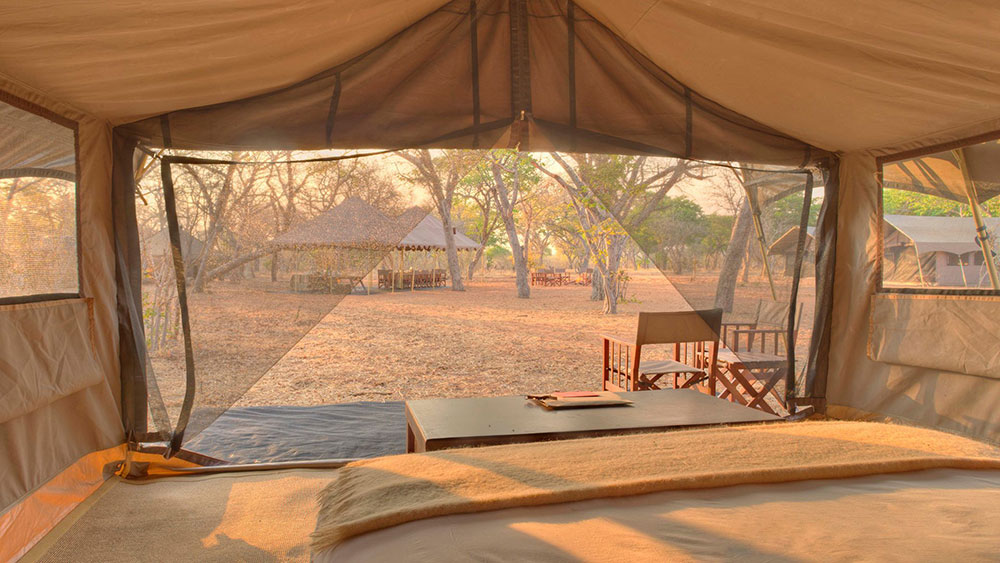 Chobe Under Canvas Chobe Safari Lodges Safari Guide Africa