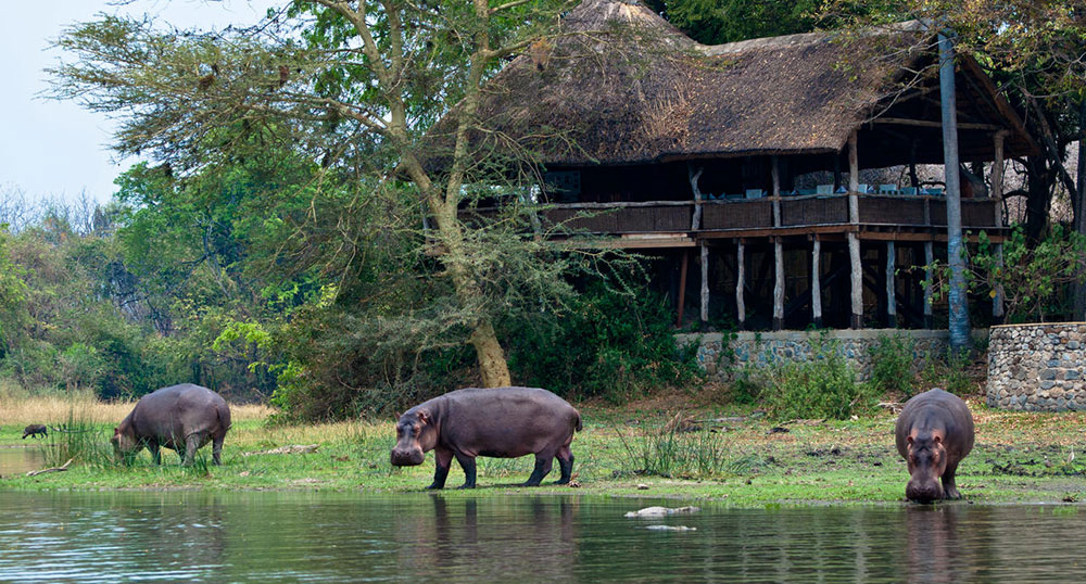 Mvuu Lodge