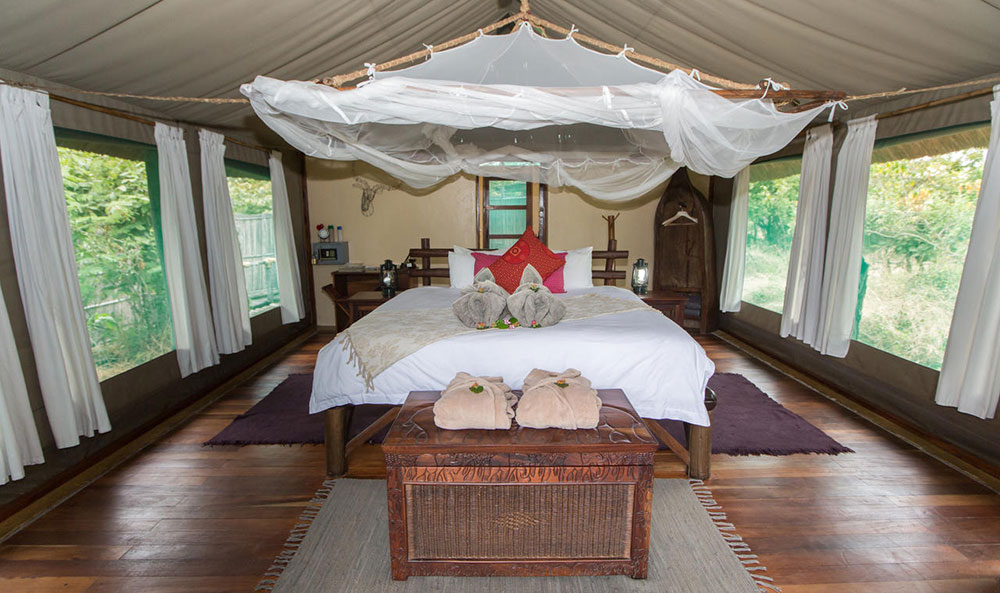 mvuu lodge tent interior